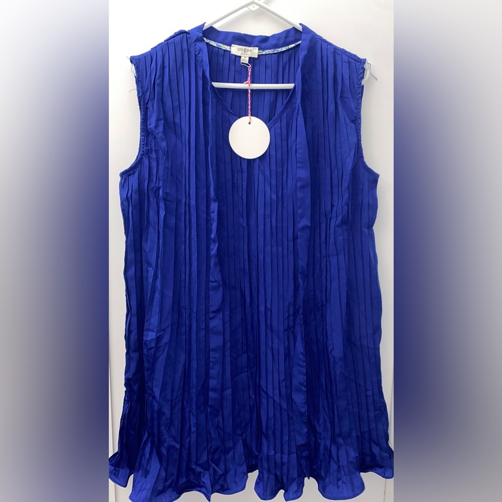 Umgee Royal Blue Pleated Blouse